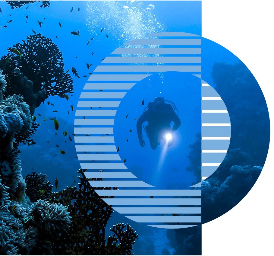 diver